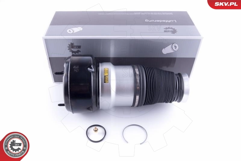 Air Spring, suspension